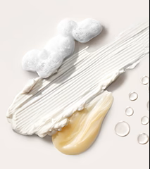 Ingredient Glossary